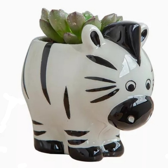 🧡IN STOCK🧡 ZEBRA Small Ceramic Planter - Picture 4 of 4